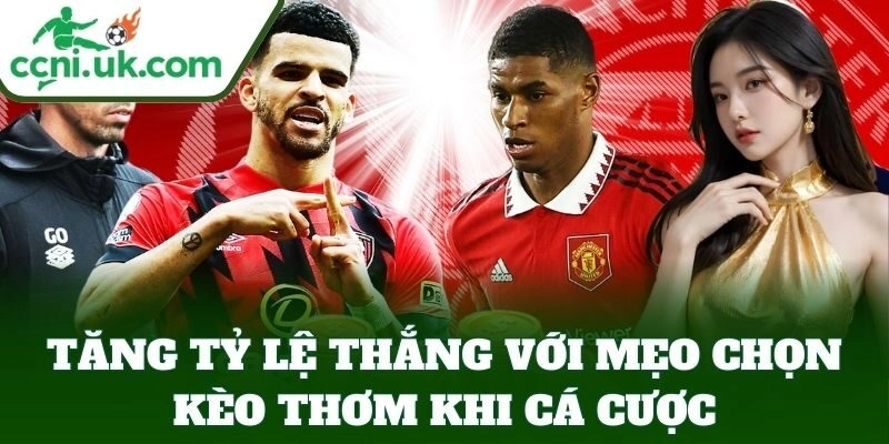 Tăng tỷ lệ thắng với Mẹo Chọn Kèo Thơm Khi Cá Cược