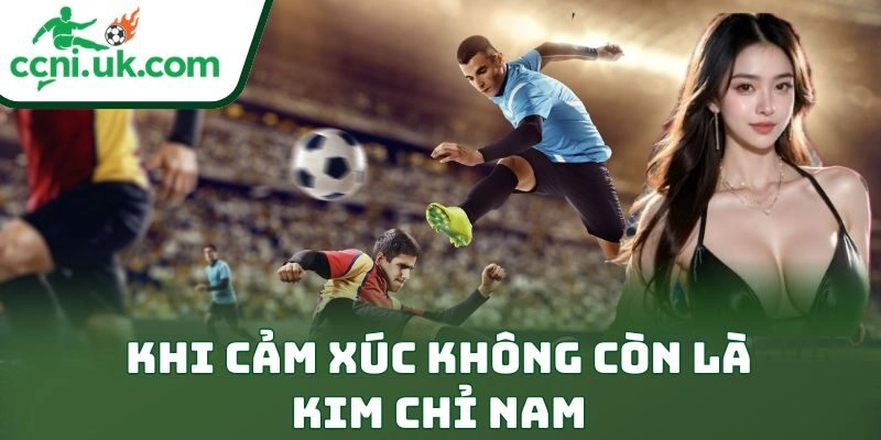 Khi cảm xúc không còn là kim chỉ nam