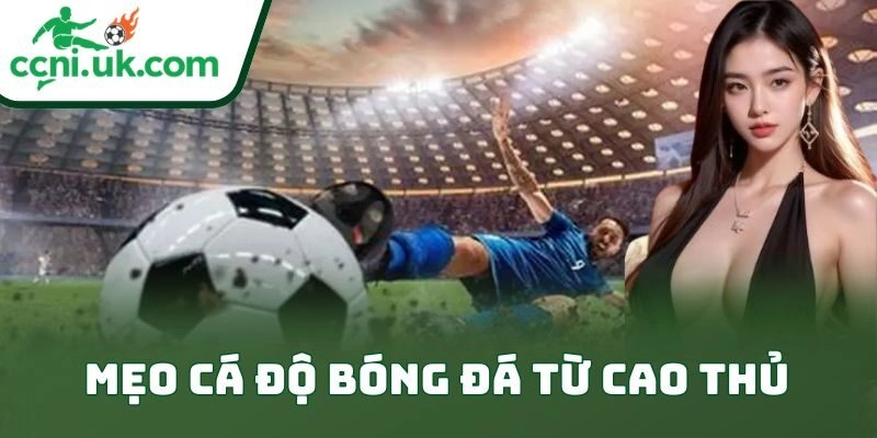 Mẹo Cá Độ Bóng Đá Từ Cao Thủ