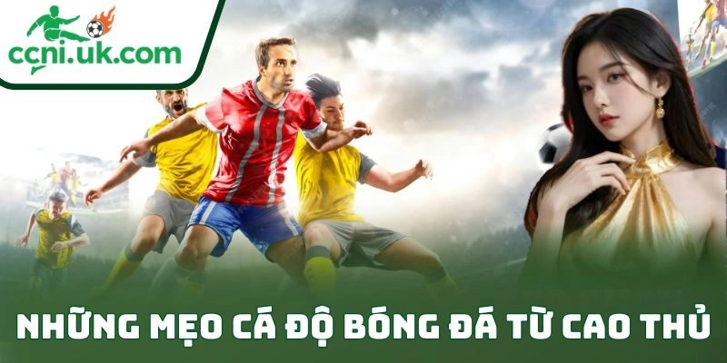 Những mẹo cá độ bóng đá từ cao thủ