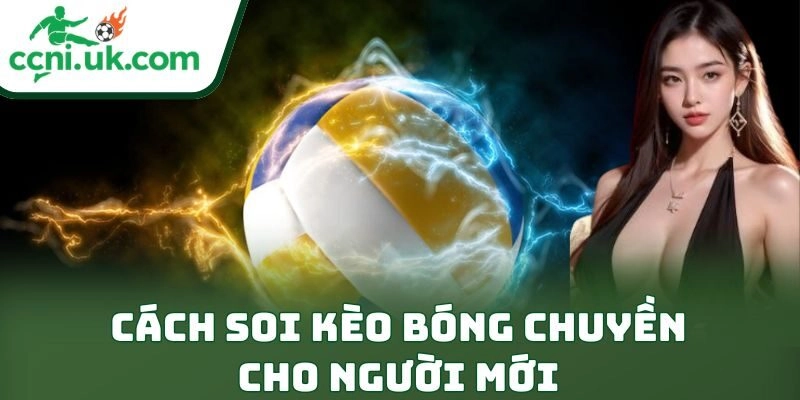 Học Cách Soi Kèo Bóng Chuyền Cho Người Mới Cực Đỉnh