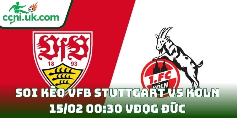 Soi kèo VfB Stuttgart Vs Koln (15/02 00:30| VĐQG Đức)